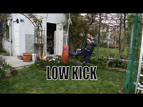 სახლში ვარჯიში (Low kick \u0026 double punch combos)